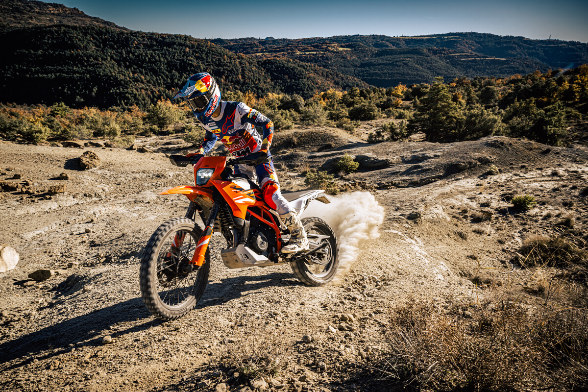 390 Enduro R