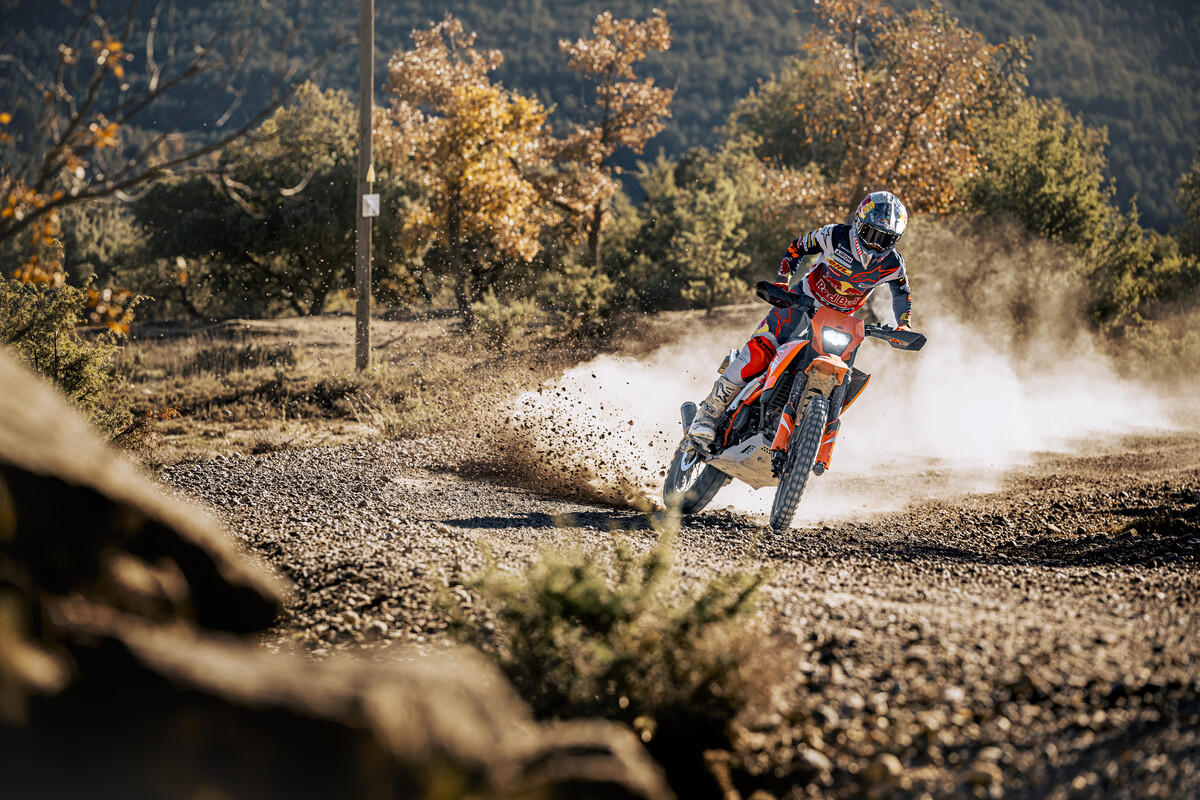 390 Enduro R